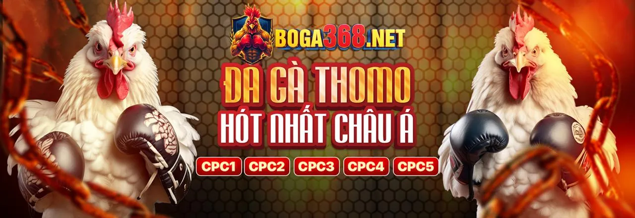 Chương trình VIP rs88 2026 với các đặc quyền độc quyền